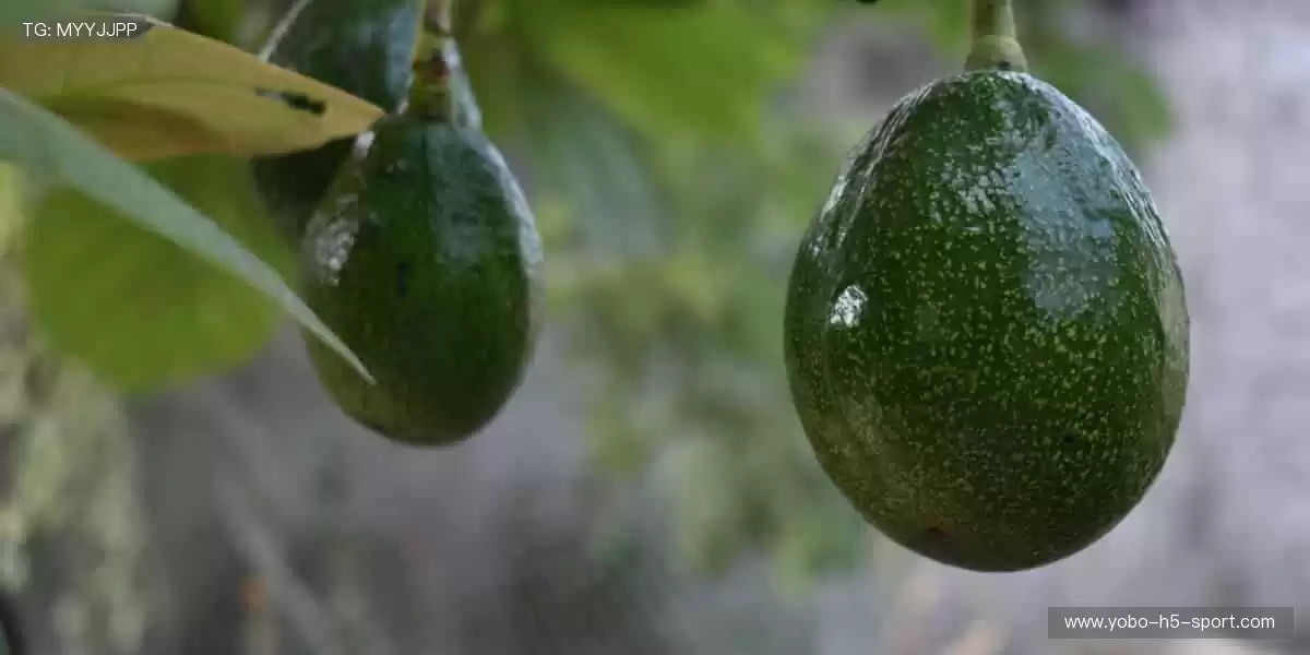 🎉【互动狂欢】弹幕刷屏，竞猜赢取球星签名！